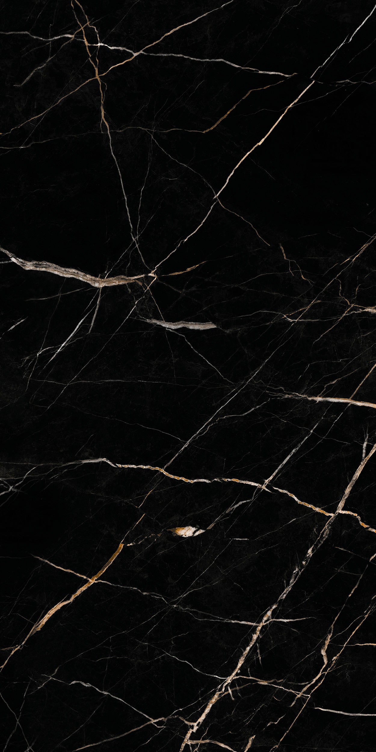 SPC Marmorplatte glänzend Calacatta Black  265x120x0,4cm